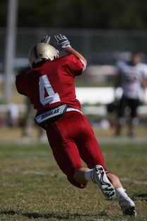 爱游戏娱乐平台-足球青训进入社区模式拓展非专业球员参与渠道，足球俱乐部青训什么条件